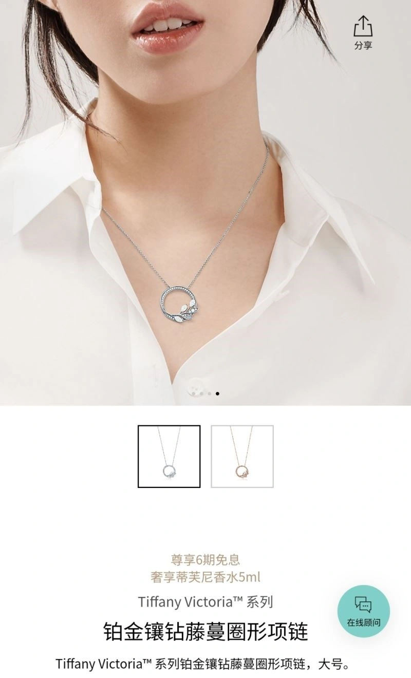 Minimalist Tiffany Necklaces 252947