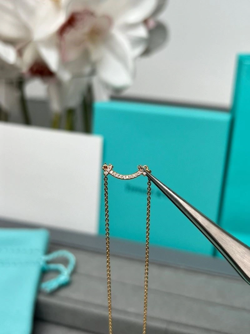 Tiffany Necklaces Fashionable 252936