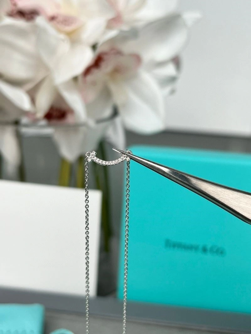 Tiffany Necklaces BestValue 252921