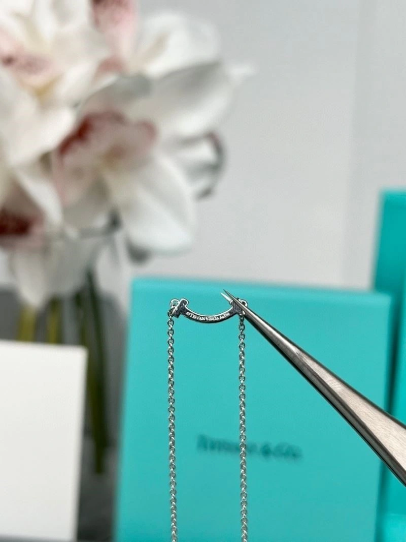 Tiffany Necklaces BestValue 252921