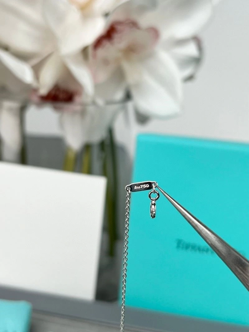Tiffany Necklaces BestValue 252921