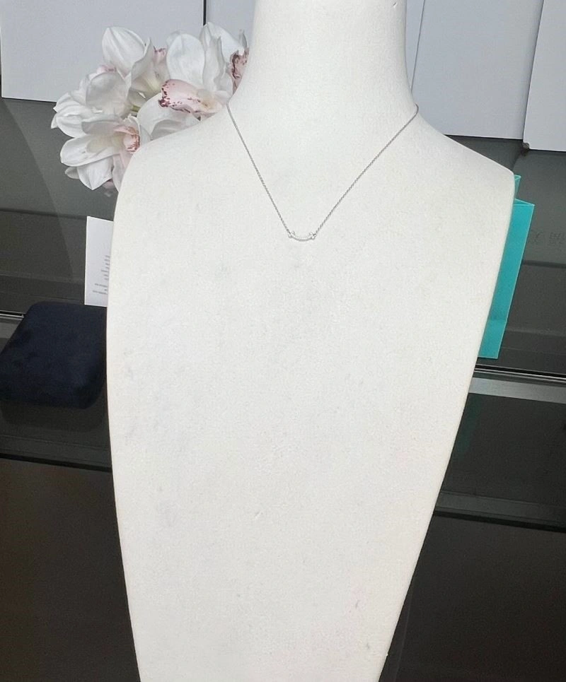 Tiffany Necklaces BestValue 252921
