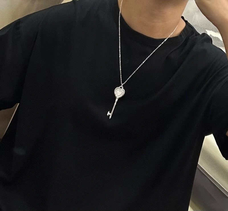 Tiffany Necklaces EyeCatching 252917