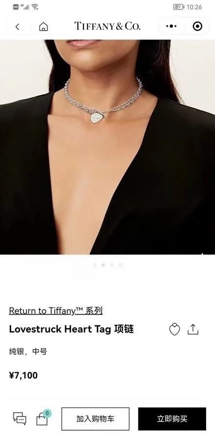 Tiffany Necklaces Minimalist 252849