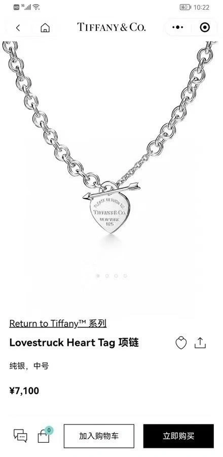 Tiffany Necklaces Minimalist 252849