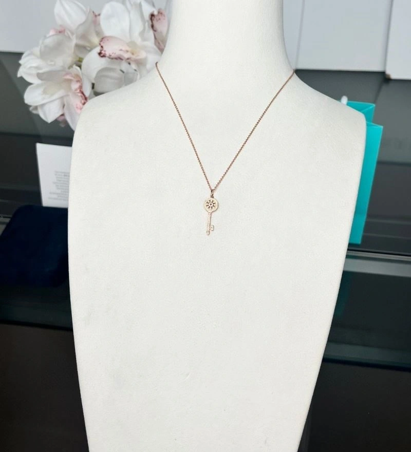 Modern Tiffany Necklaces 252861