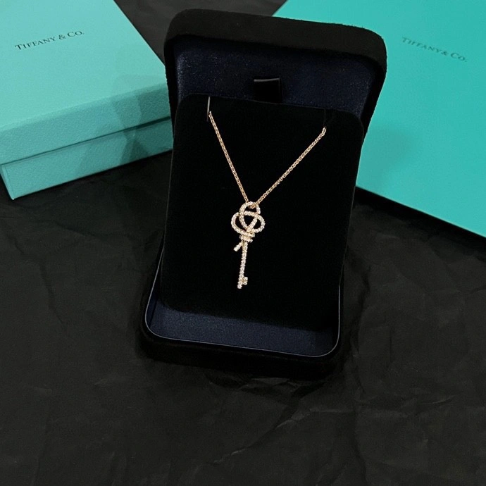 Tiffany Necklaces Minimalist 252314