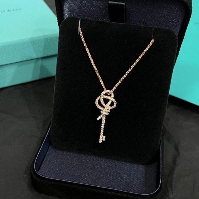 Tiffany Necklaces Minimalist 252314