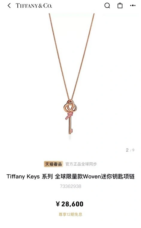 Tiffany Necklaces Minimalist 252316
