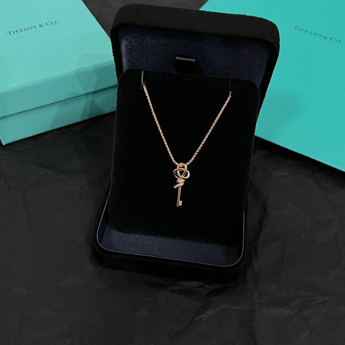 Tiffany Necklaces Minimalist 252316