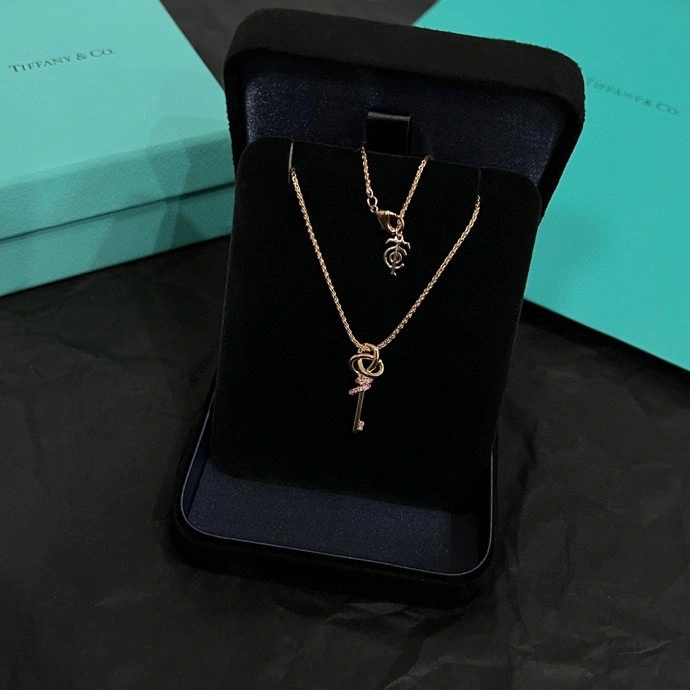 Tiffany Necklaces Minimalist 252316