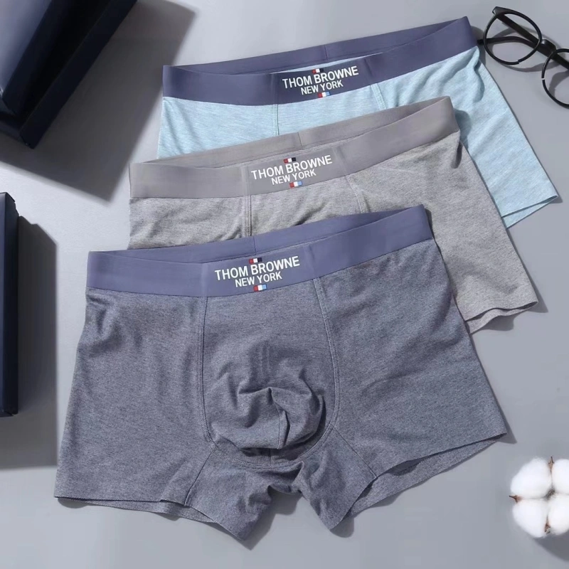 Stylish Tommy Underwear 276717