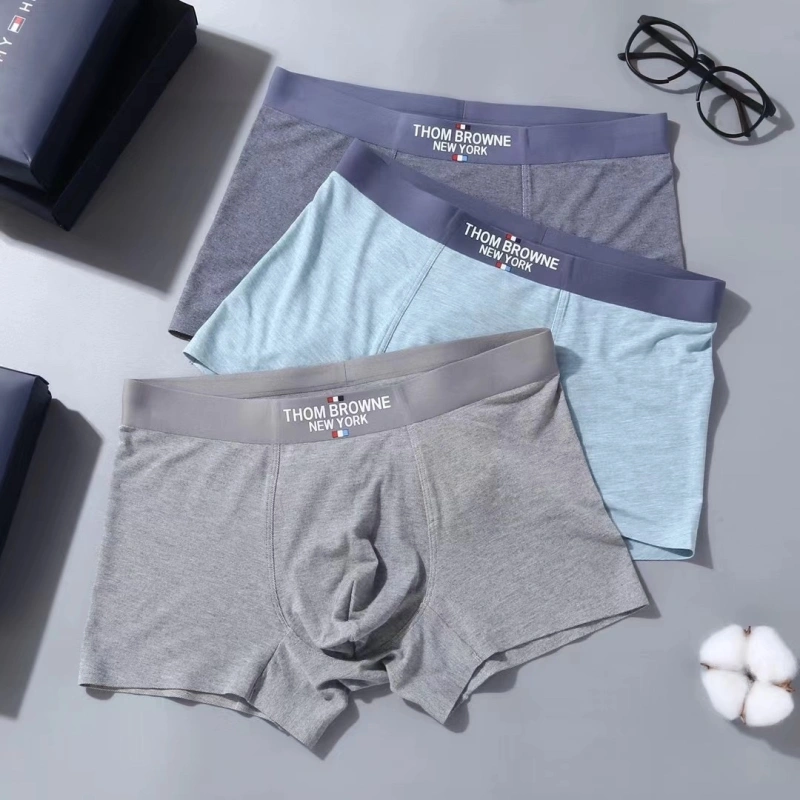 Stylish Tommy Underwear 276717