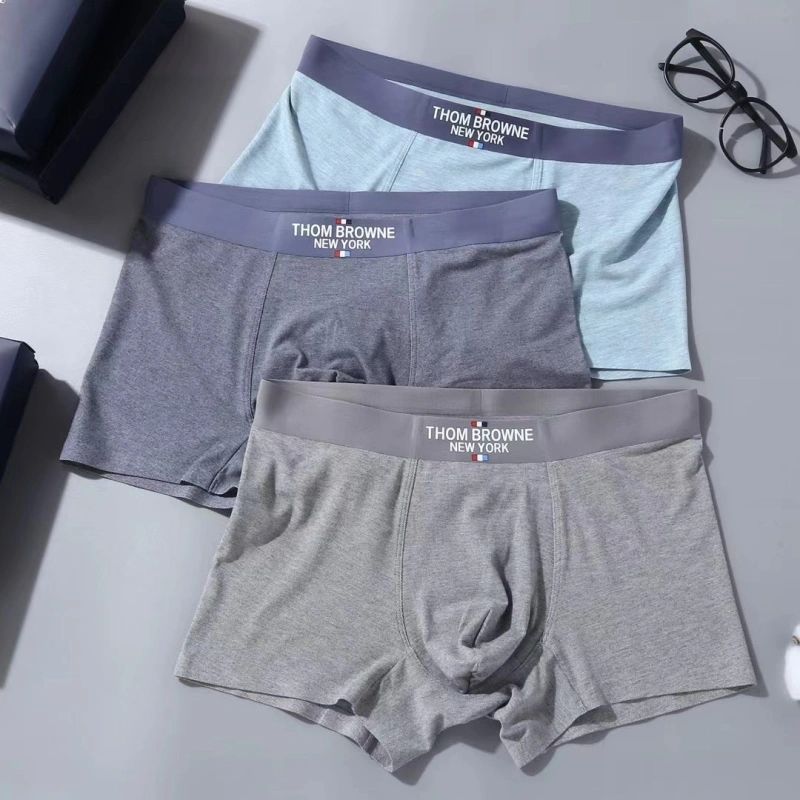 Stylish Tommy Underwear 276717