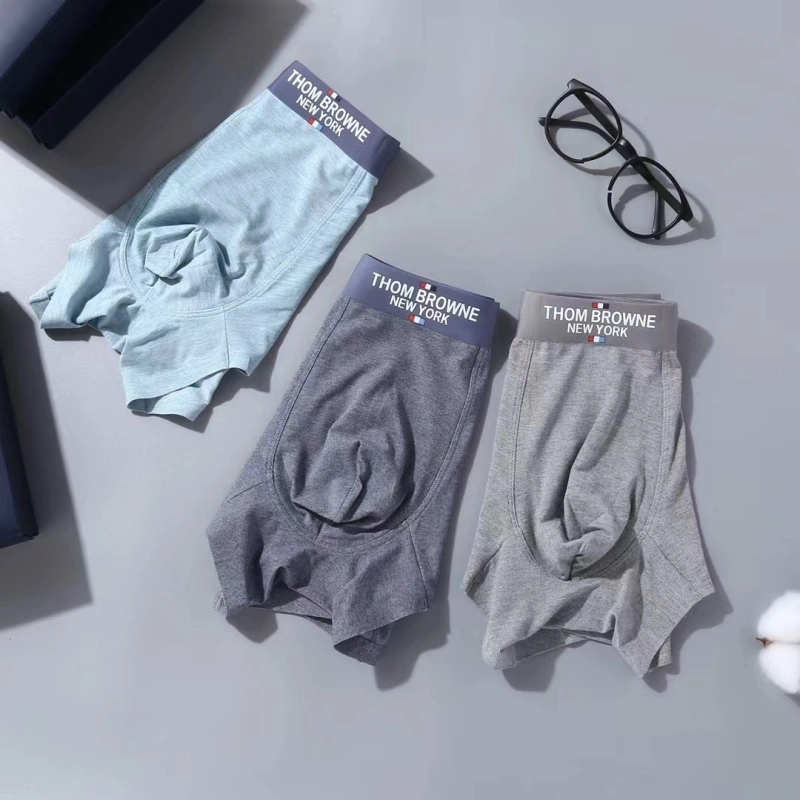 Stylish Tommy Underwear 276717