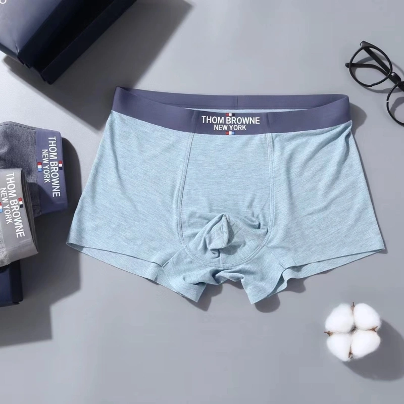 Stylish Tommy Underwear 276717