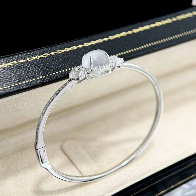 Unclassified Brand Bracelets EyeCatching 213353