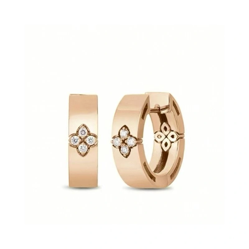 Unclassified Brand Earrings BestValue 213780
