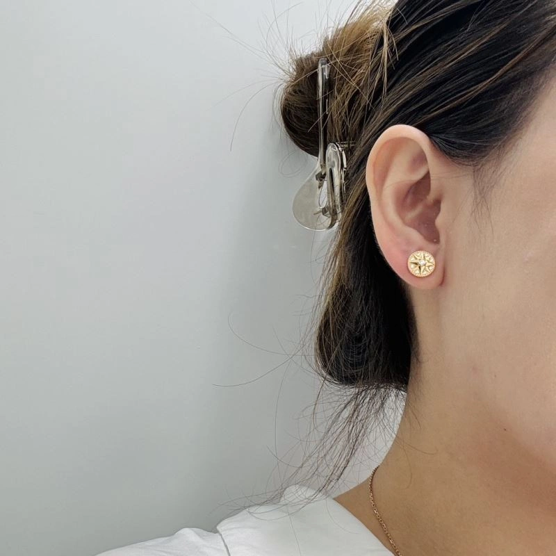 Unclassified Brand Earrings SunProtective 213784