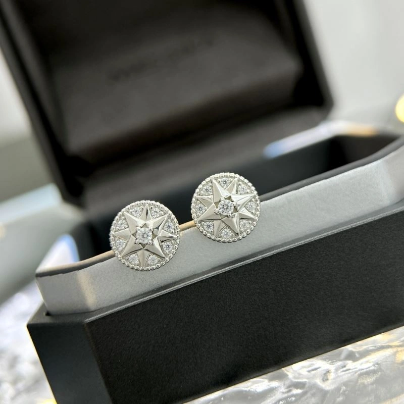 Unclassified Brand Earrings SunProtective 213784