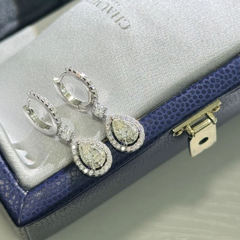 Trendy Unclassified Brand Earrings 213775