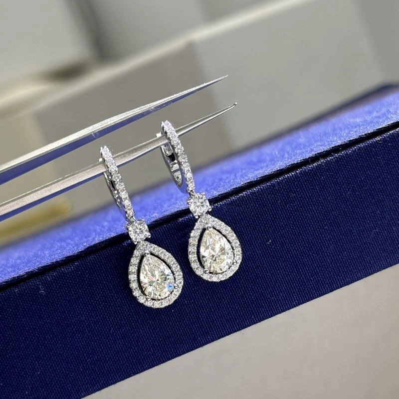 Trendy Unclassified Brand Earrings 213775