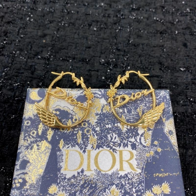 Sleek Unclassified Brand Earrings 213771