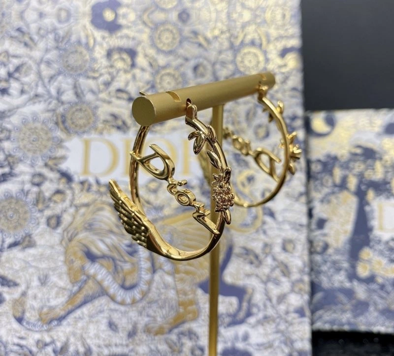 Sleek Unclassified Brand Earrings 213771