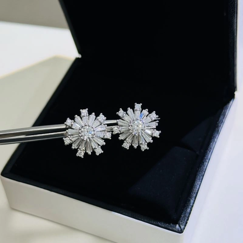 HighPerformance Unclassified Brand Earrings 213772