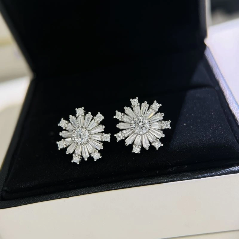 HighPerformance Unclassified Brand Earrings 213772