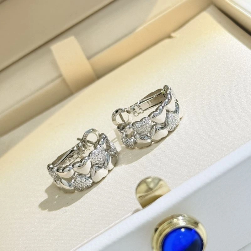 Unclassified Brand Earrings Flexible 213769