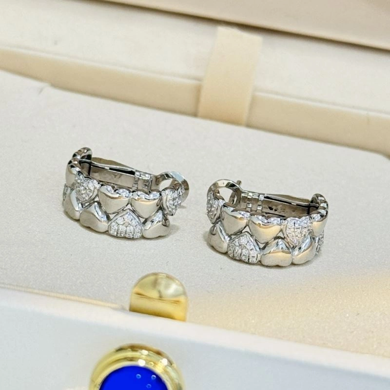 Unclassified Brand Earrings Flexible 213769
