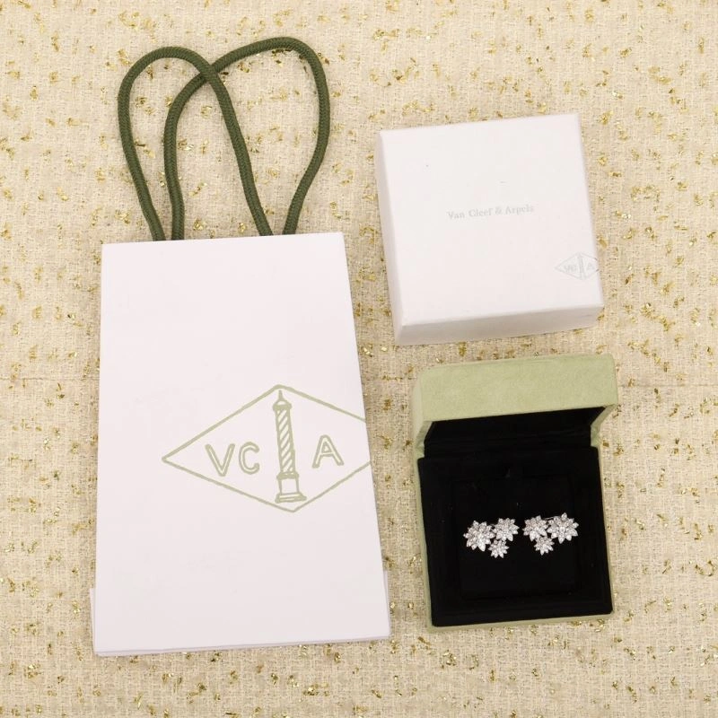 Practical Unclassified Brand Earrings 213763