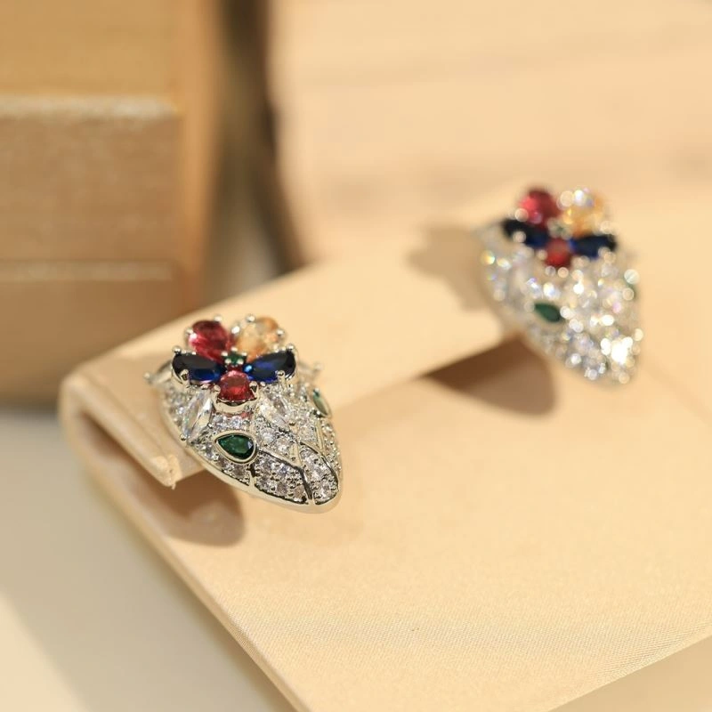 Unclassified Brand Earrings GoAnywhere 213757