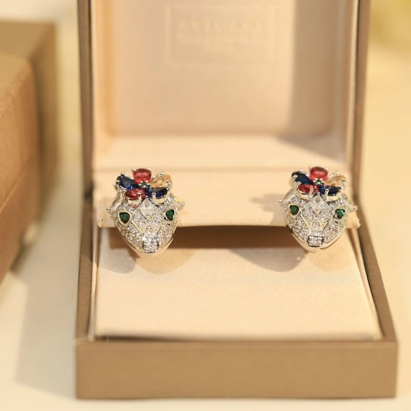 Unclassified Brand Earrings GoAnywhere 213757