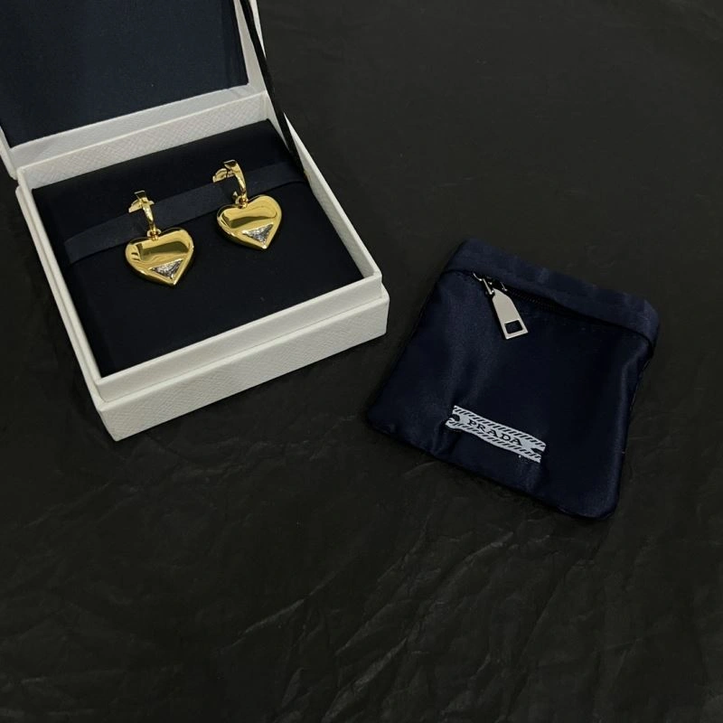 Unclassified Brand Earrings FastDry 213745