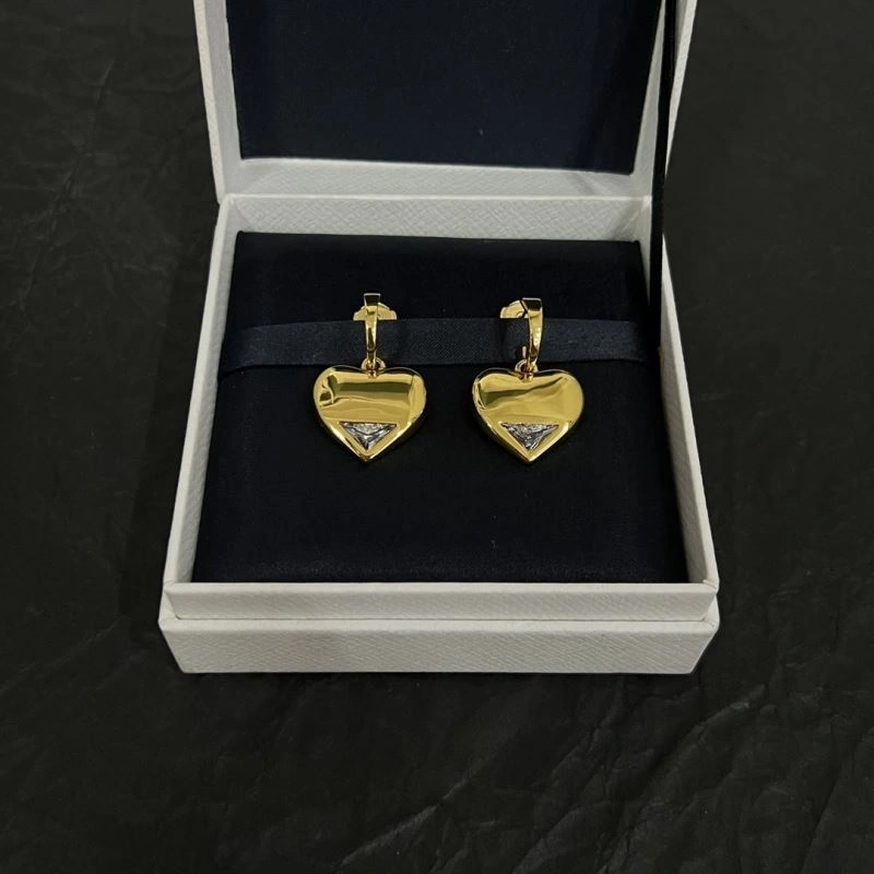 Unclassified Brand Earrings FastDry 213745