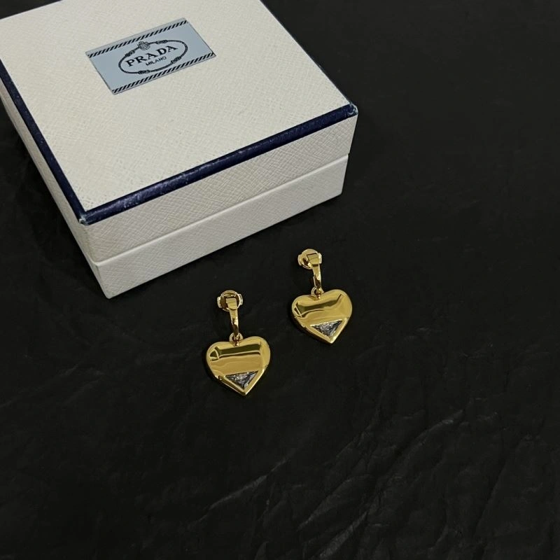Unclassified Brand Earrings FastDry 213745