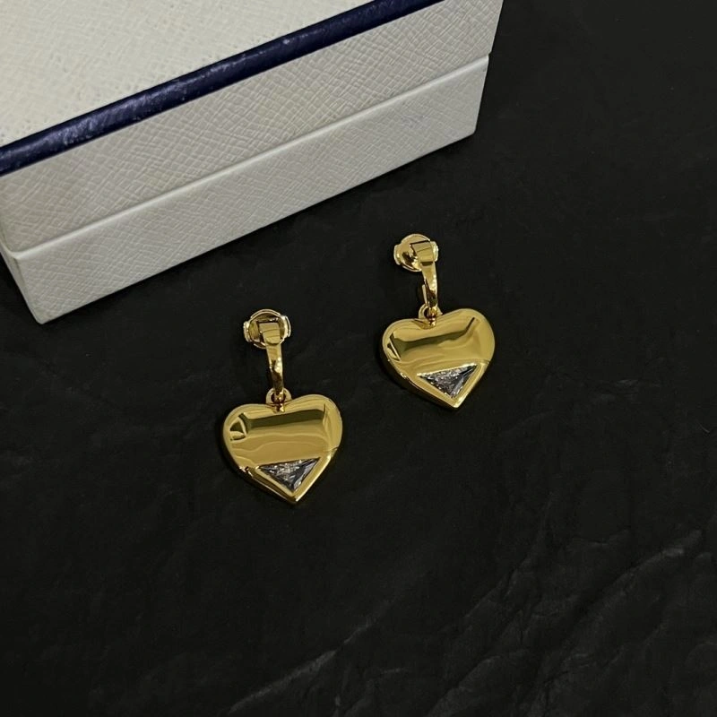 Unclassified Brand Earrings FastDry 213745