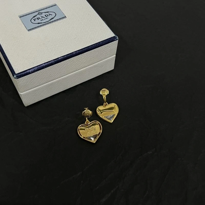 Unclassified Brand Earrings FastDry 213745