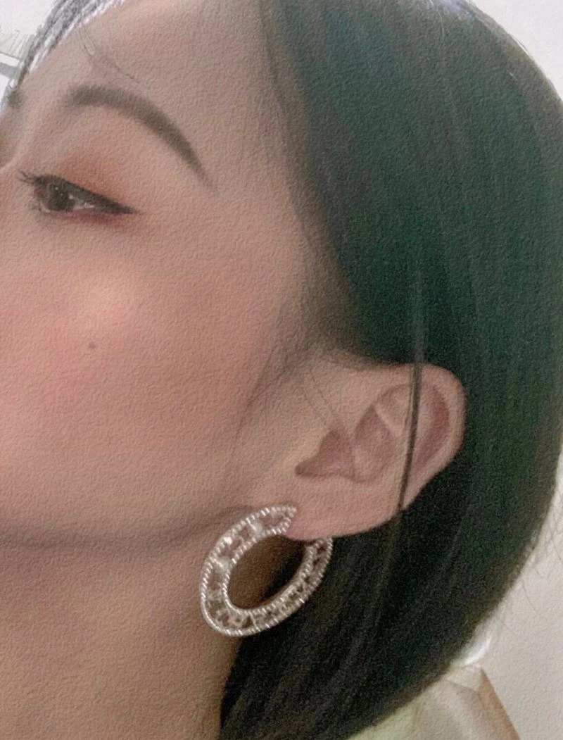 Unclassified Brand Earrings EyeCatching 213751