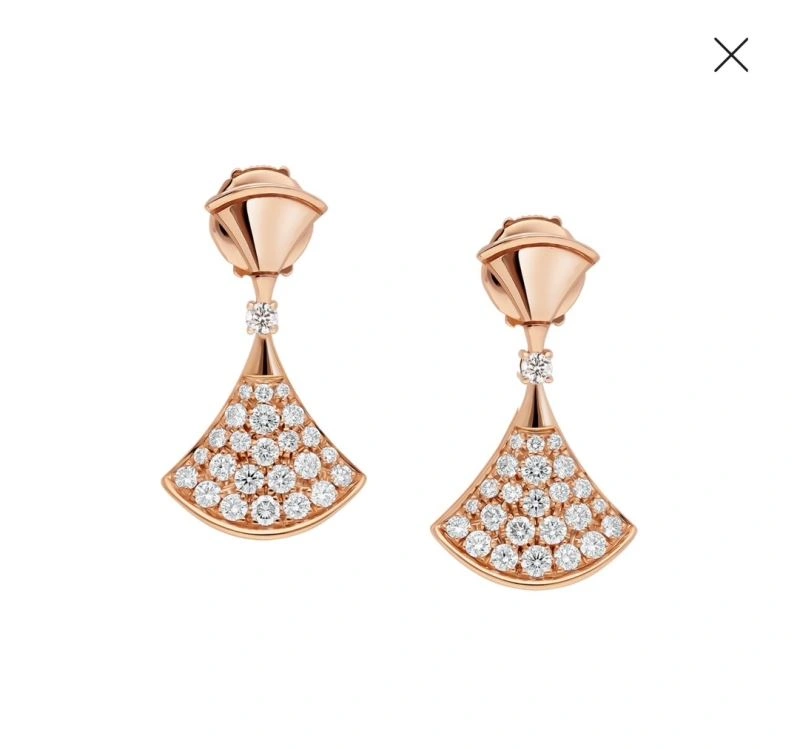 Versatile Unclassified Brand Earrings 213356