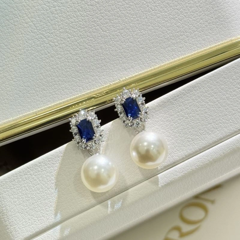 Unclassified Brand Earrings Trendsetting 213358