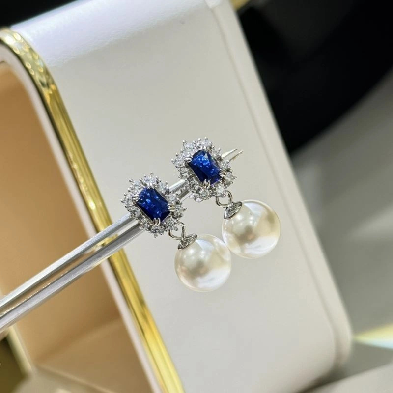 Unclassified Brand Earrings Trendsetting 213358