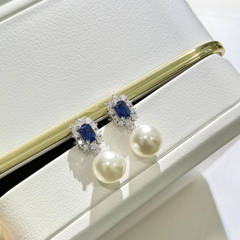 Unclassified Brand Earrings Trendsetting 213358