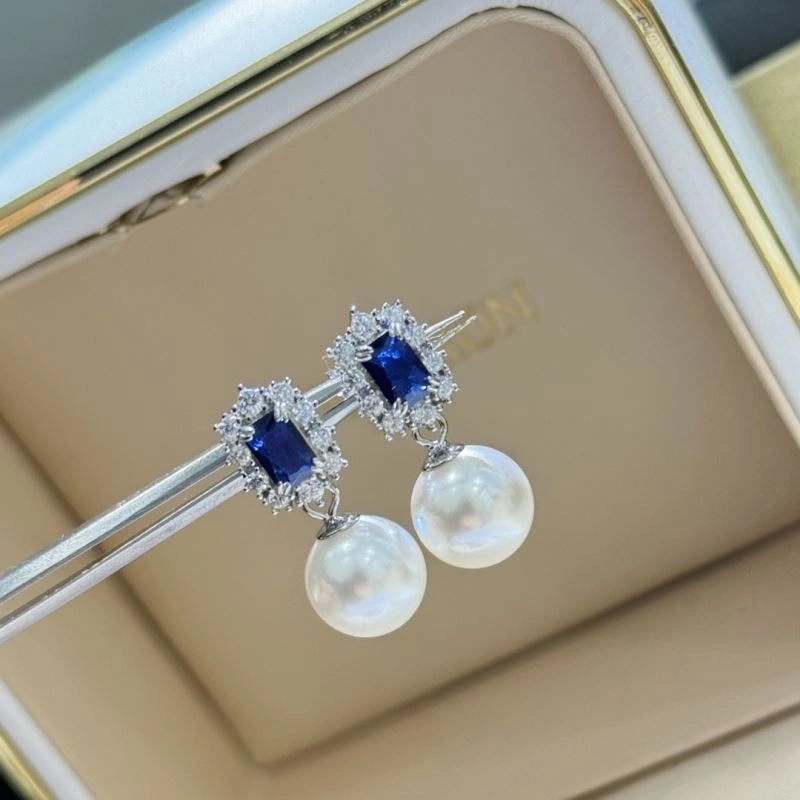 Unclassified Brand Earrings Trendsetting 213358