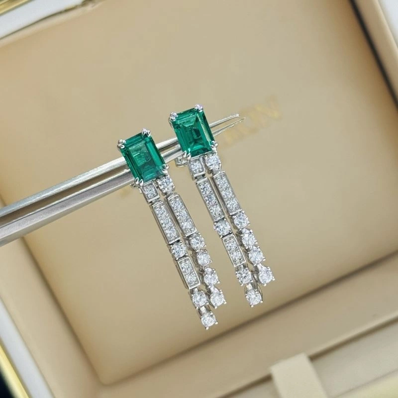 Unclassified Brand Earrings Flexible 213350