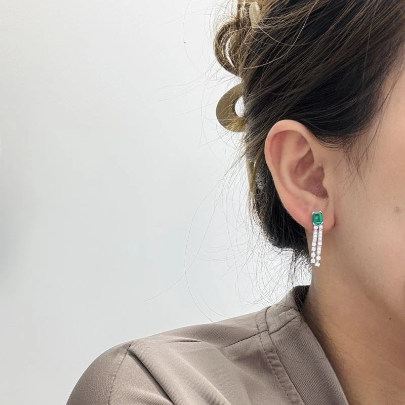 Unclassified Brand Earrings Flexible 213350
