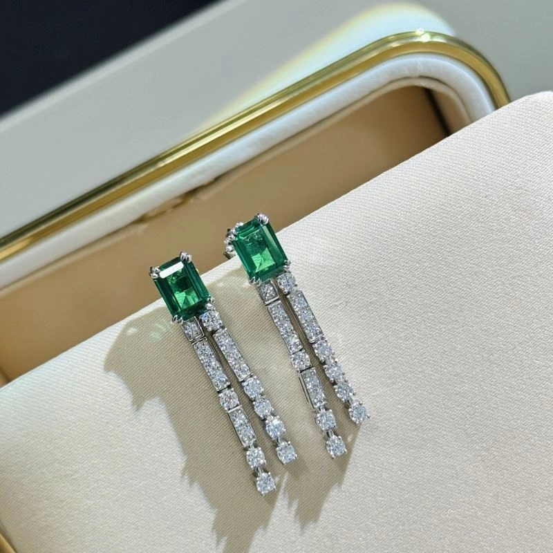 Unclassified Brand Earrings Flexible 213350