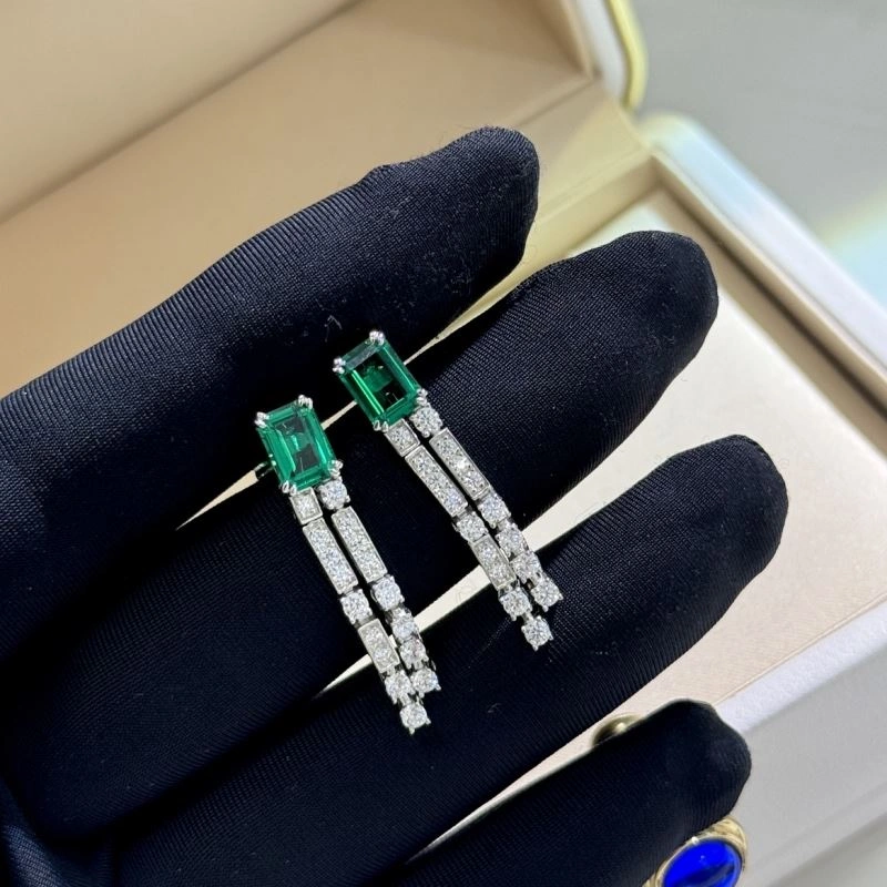 Unclassified Brand Earrings Flexible 213350